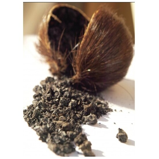 Sensual Musk - Fragrance Oil (55ml)