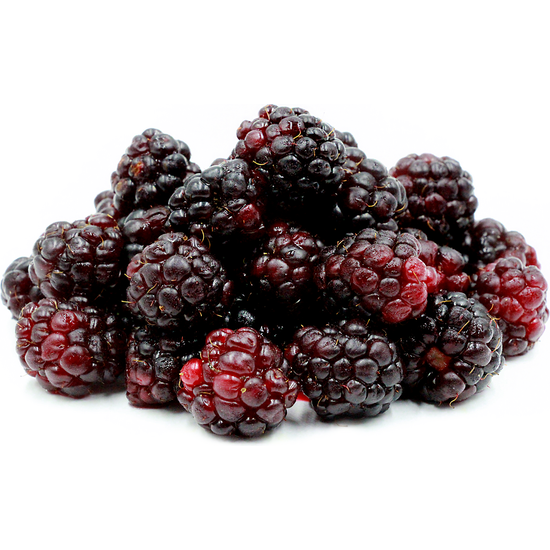 Boysenberry - Fragrance Oil