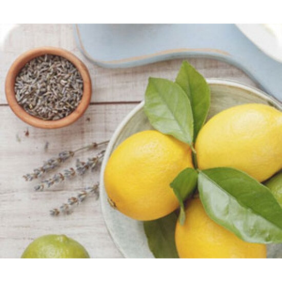 White Leather & Citron Frost - Fragrance Oil (250ml)