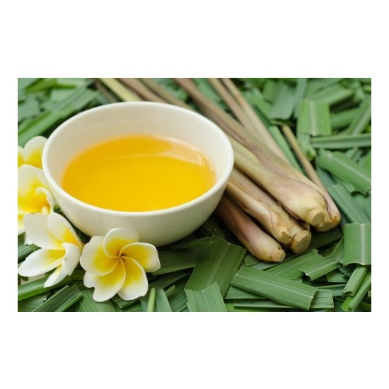 Citronella - Fragrance Oil (55ml)