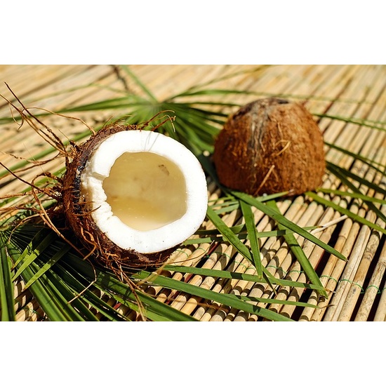 Coconut & Lemongrass - Fragrance Oil