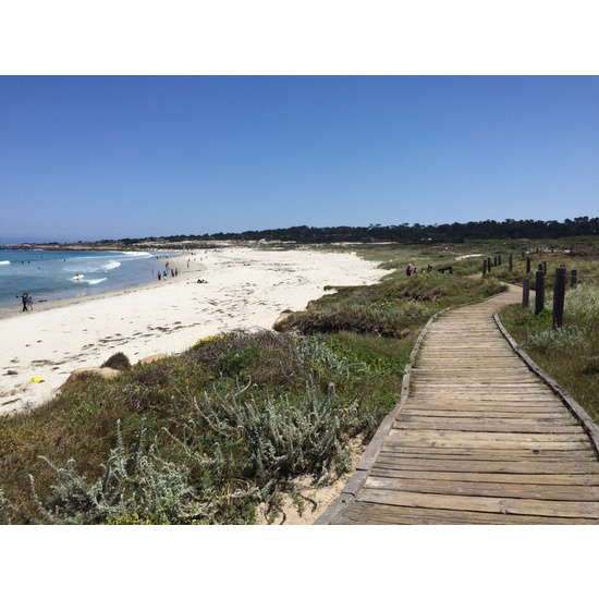 Beachside Boardwalk - Fragrance Oil