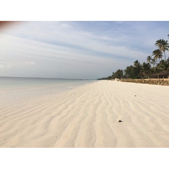 White Ocean Sands - Fragrance Oil (250ml)