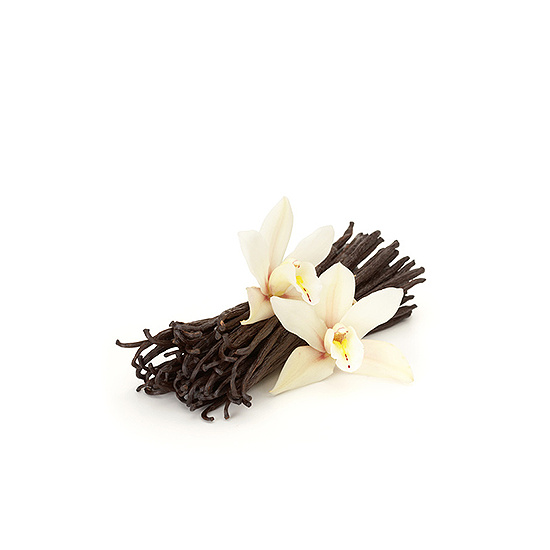 French Vanilla - Fragrance Oil