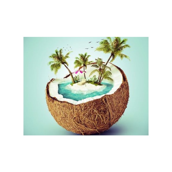 Island Coconut - Fragrance Oil