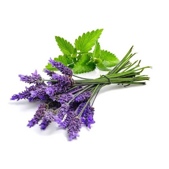 Lavender & Mint - Fragrance Oil (55ml)