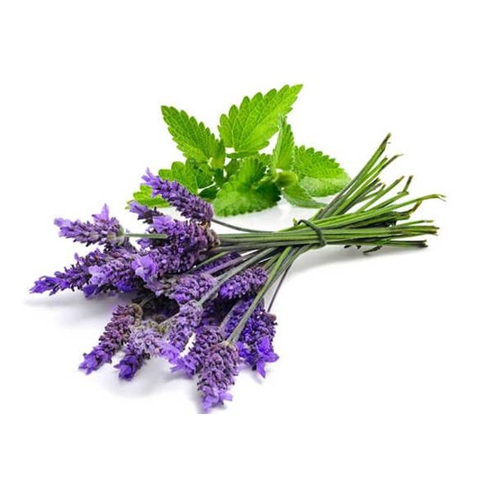 Lavender & Mint - Fragrance Oil