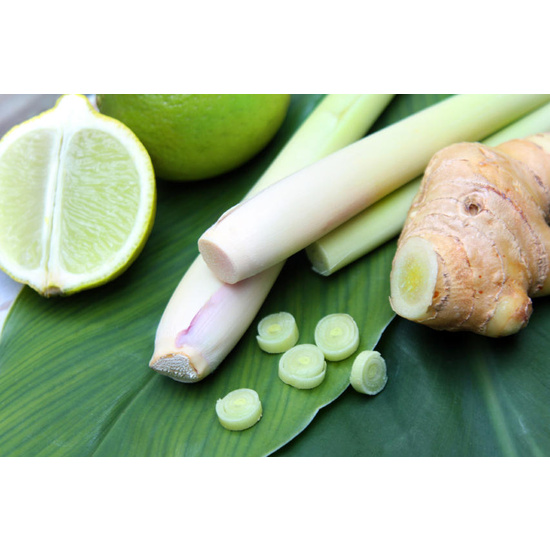 Lemongrass & Ginger - Fragrance Oil (55ml)