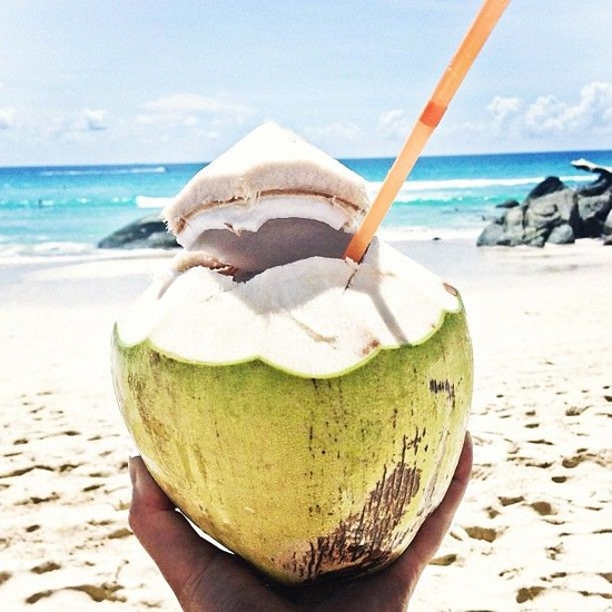 Beachy Coconut Milk - Fragrance Oil