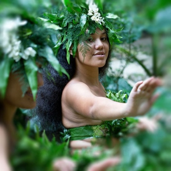Polynesian Flower - Fragrance Oil (250ml)