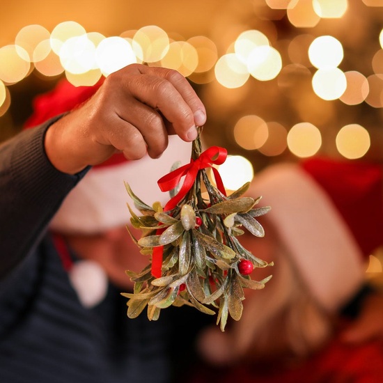 Mistletoe Kisses - Fragrance Oil