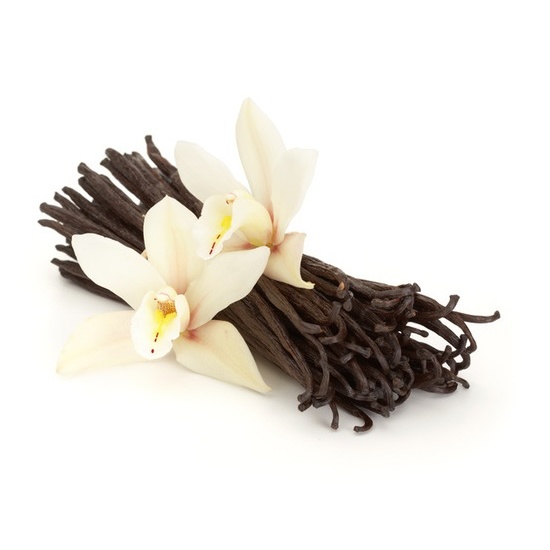 Vanilla Bean - Fragrance Oil