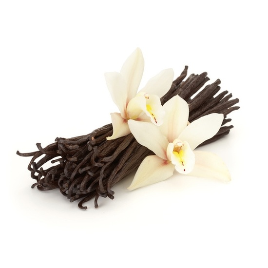 Very Vanilla - Fragrance Oil