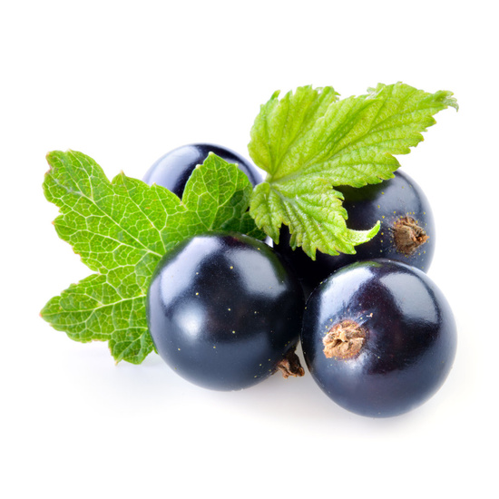 Blackcurrant & Plum - Fragrance Oil