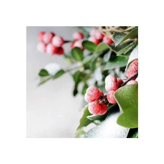 Holly Berry - Fragrance Oil