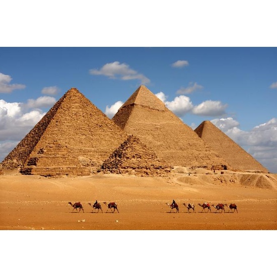 Egyptian Musk - Fragrance Oil