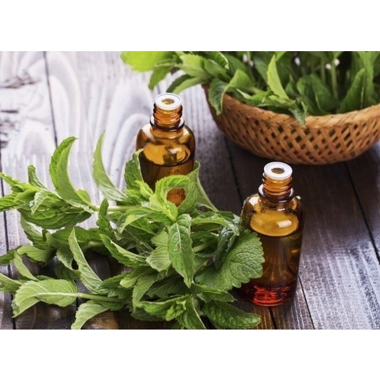 Peppermint & Eucalyptus - Fragrance Oil