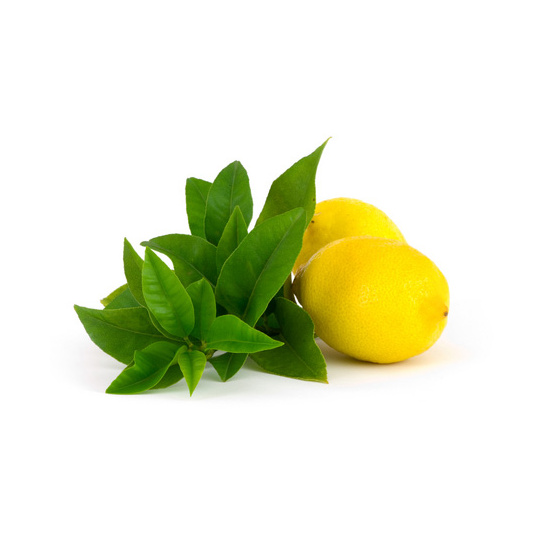 Lemon Verbena - Fragrance Oil