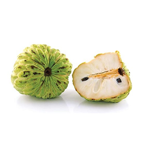 Amazon Sugar Apple - Fragrance Oil