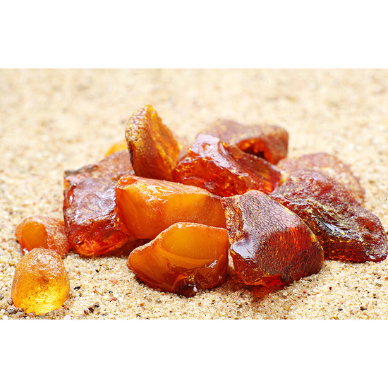 Amber & Musk - Fragrance Oil