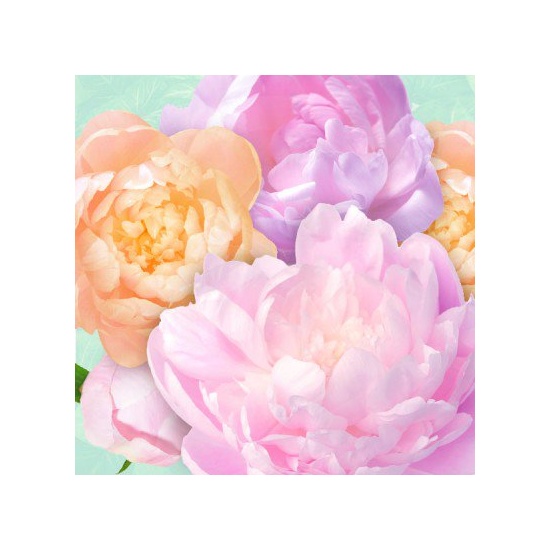 Angelic Whispers - Fragrance Oil
