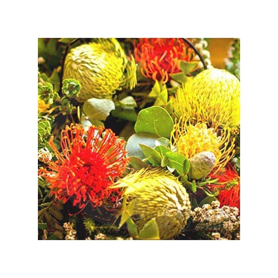 Australian Florals & Honey - Fragrance Oil