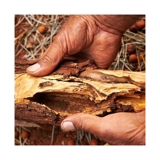 Australian Sandalwood - Fragrance Oil