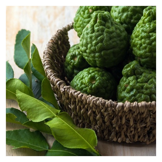 Bergamot Tobacco - Fragrance Oil