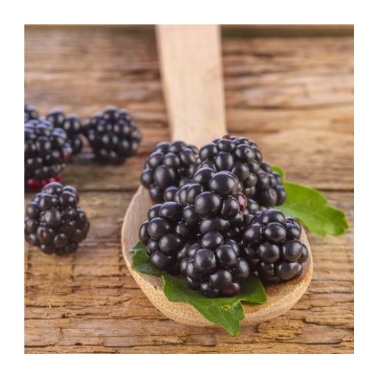 Black Raspberry - Fragrance Oil