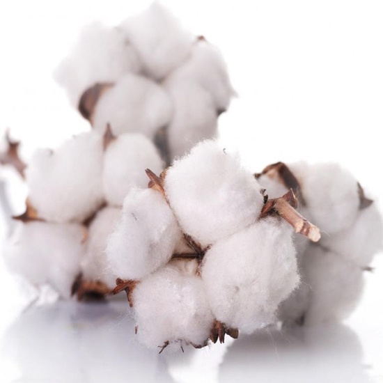 Clean Cotton - Fragrance Oil