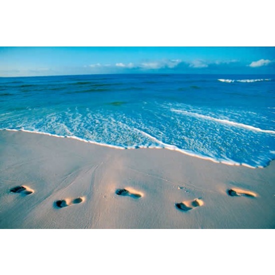 Clear Water Retreat - Fragrance Oil (100ml)
