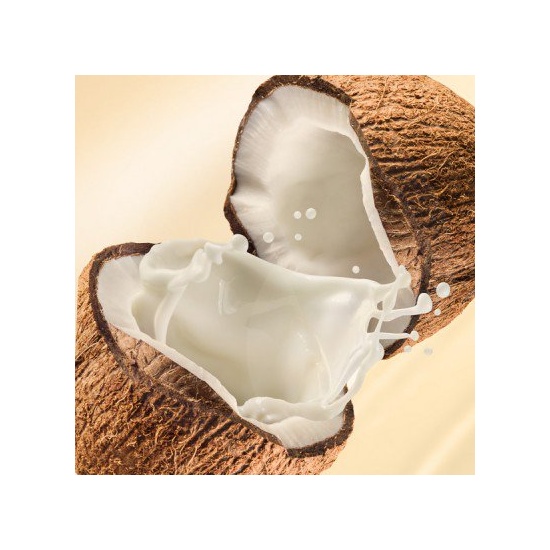 Coconut & Vanilla - Fragrance Oil