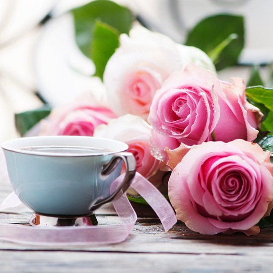 Cafe Rose - Fragrance Oil