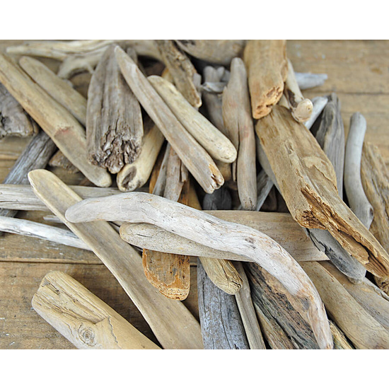 Driftwood - Fragrance Oil