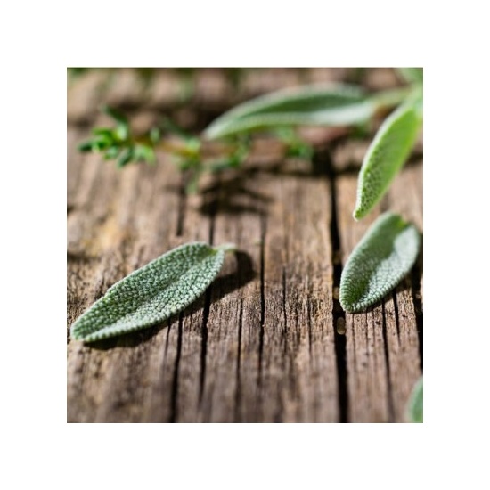 Fresh Sage & Driftwood - Fragrance Oil (55ml)