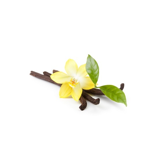 Flower Vanilla Cashmere - Fragrance Oil