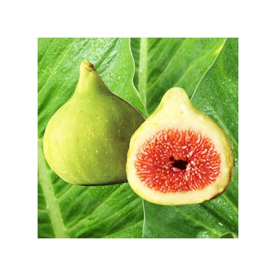 Italian Summer Fig - Fragrance Oil