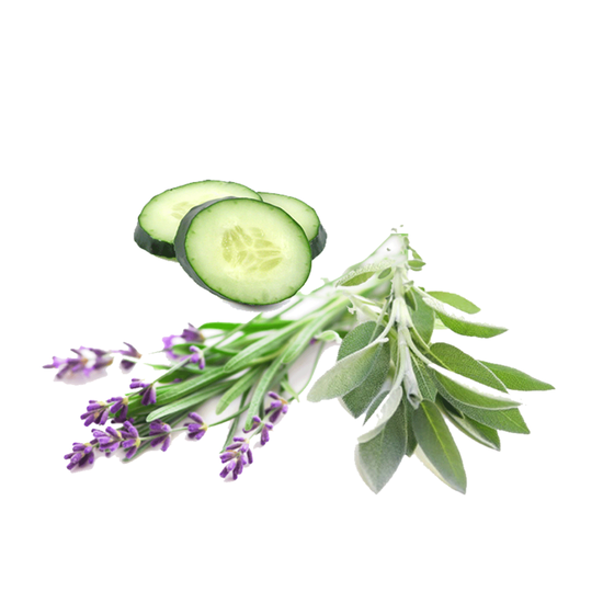 Lavender Cucumber Sage - Fragrance Oil