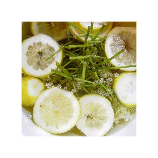 Lime, Coconut & Elderflower - Fragrance Oil (55ml)