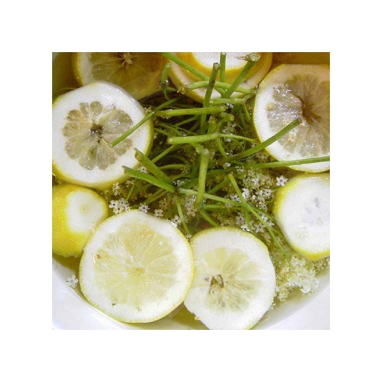 Lime, Coconut & Elderflower - Fragrance Oil