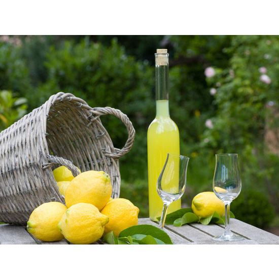 Limoncello - Fragrance Oil