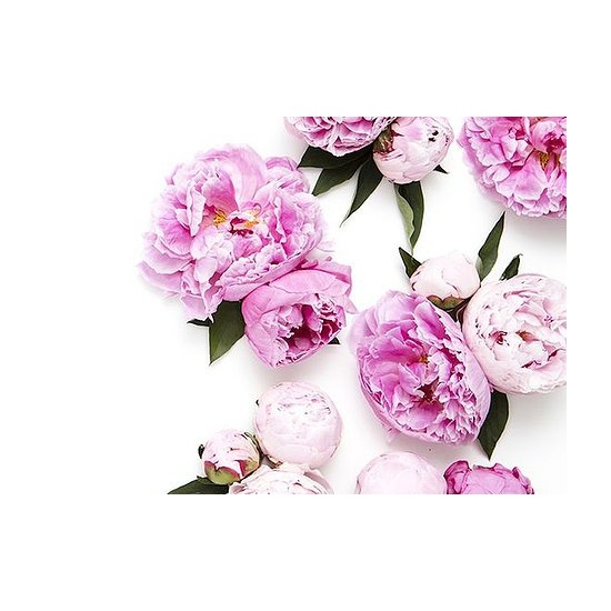 Lychee Peony - Fragrance Oil (55ml)