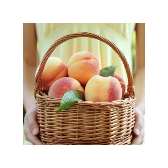 White Peach & Musk - Fragrance Oil