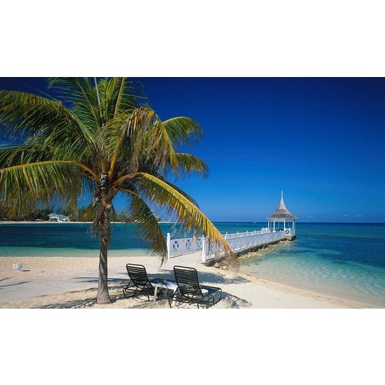 Montego Bay - Fragrance Oil (250ml)