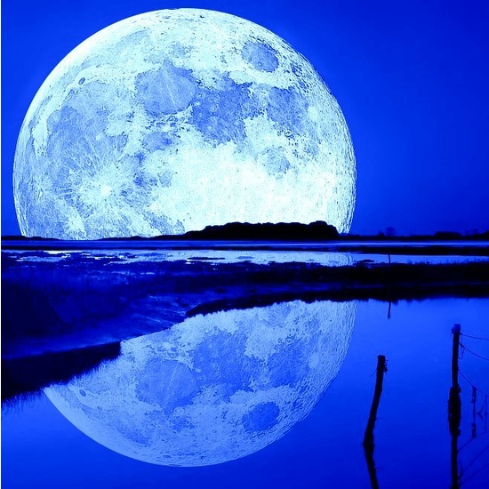 Moon Lake Musk - Fragrance Oil