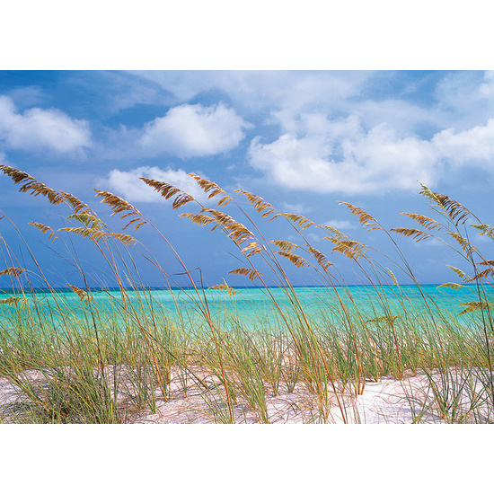 Ocean Breeze - Fragrance Oil