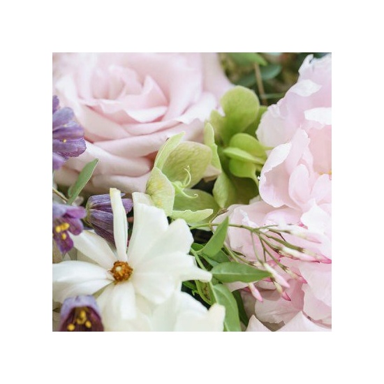 Wild Peony & Jasmine - Fragrance Oil (55ml)