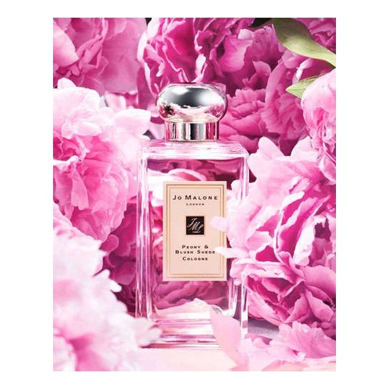 Peony & Blush Suede - Fragrance Oil
