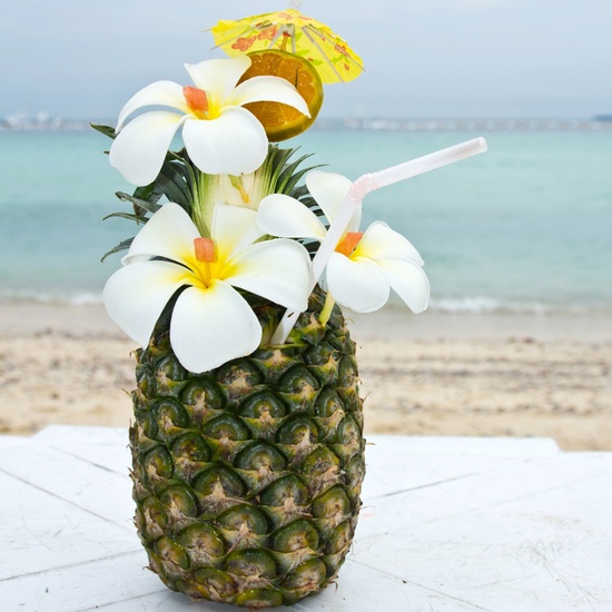 Pineapple & Frangipani - Fragrance Oil (55ml)