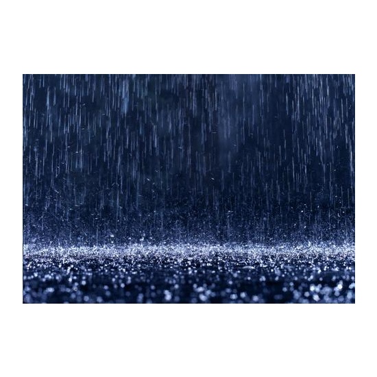 Rain Water - Fragrance Oil